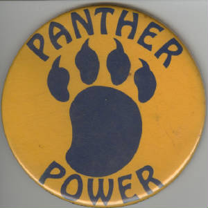pantherpowerbutton.jpg
